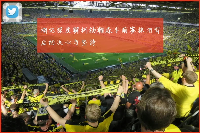 湖记深度解析杨瀚森季前赛抹泪背后的决心与坚持